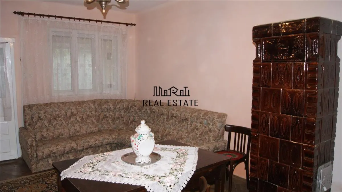 10 hectare teren plus casa la munte in Buces, Hunedoara - foto 3