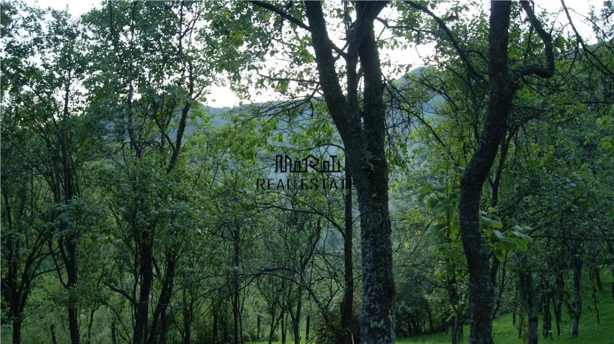 10 hectare teren plus casa la munte in Buces, Hunedoara - foto 9