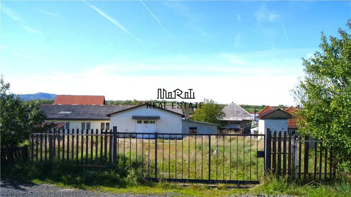 Hala de productie, birouri si 2191 mp teren in Brad, Hunedoara - foto 1