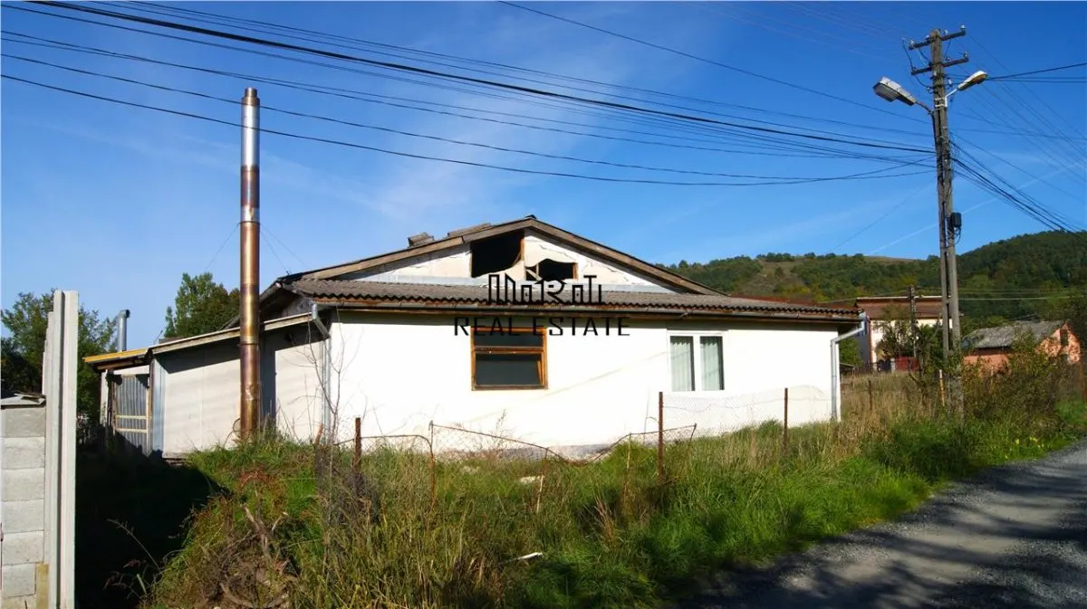Hala de productie, birouri si 2191 mp teren in Brad, Hunedoara - foto 5