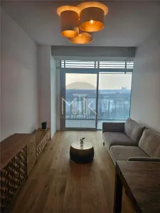 AVIATIEI/FLOREASCA | Apartament 2 camere LUX | Prima Inchiriere - foto 1