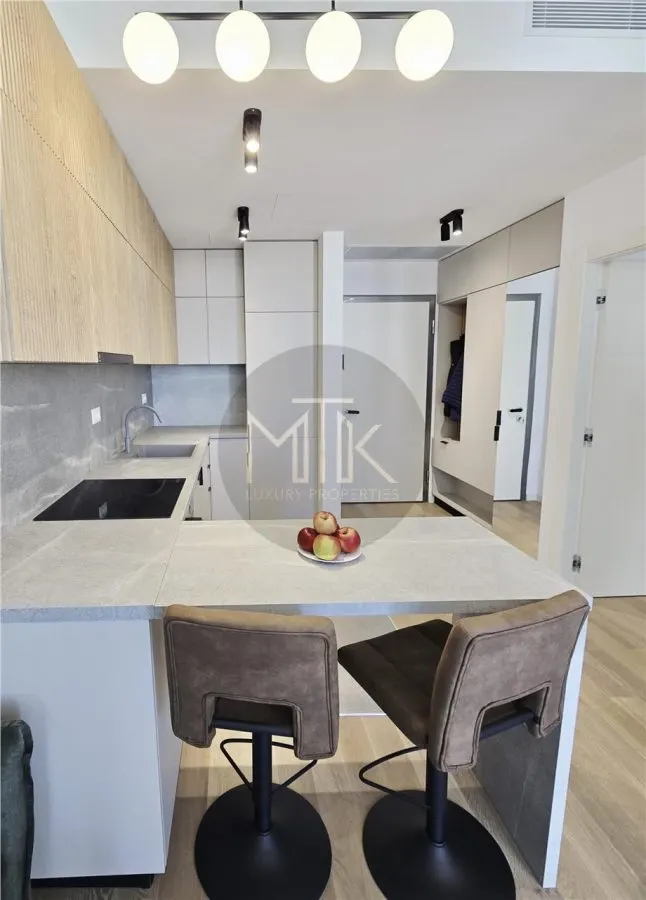 AVIATIEI/FLOREASCA | Apartament 2 camere LUX | mobilat&utilat | Bloc 2025 - foto 9