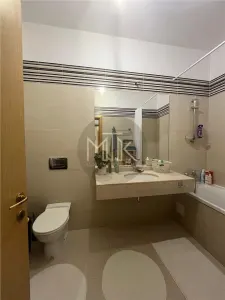 Exclusiv |  Apartament 3 camere| Herastrau - foto 30