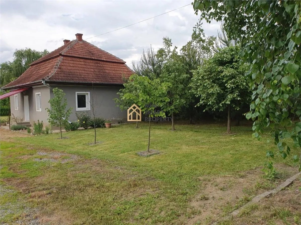 De vanzare casa+ hala la 50 km de Oradea zona Alesd - foto 2