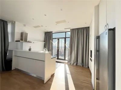 Exclusiv Penthouse mobilat/utilat, 5 camere | Aleea Privighetorilor - foto 36