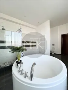 Exclusiv Penthouse mobilat/utilat, 5 camere | Aleea Privighetorilor - foto 60