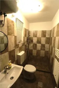 Garsoniera, curte proprie, zona Torontalului - foto 4