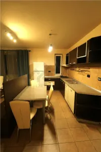 Apartament 3 camere, curte privata cu piscina in Dumbravita - foto 11