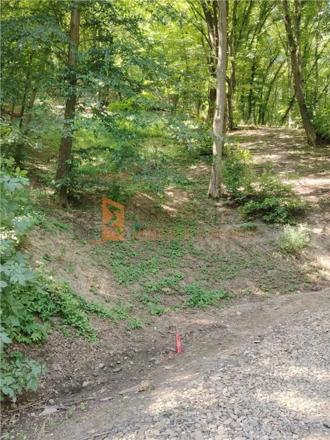 Teren intravilan zona Monteoru - foto 1