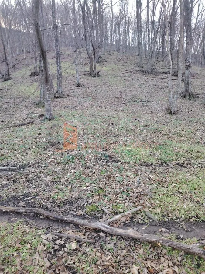 Teren intravilan zona Monteoru - foto 2