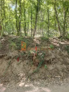 Teren intravilan zona Monteoru - foto 3