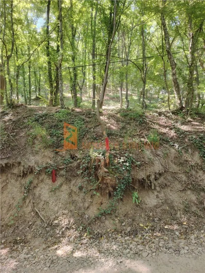 Teren intravilan zona Monteoru - foto 3