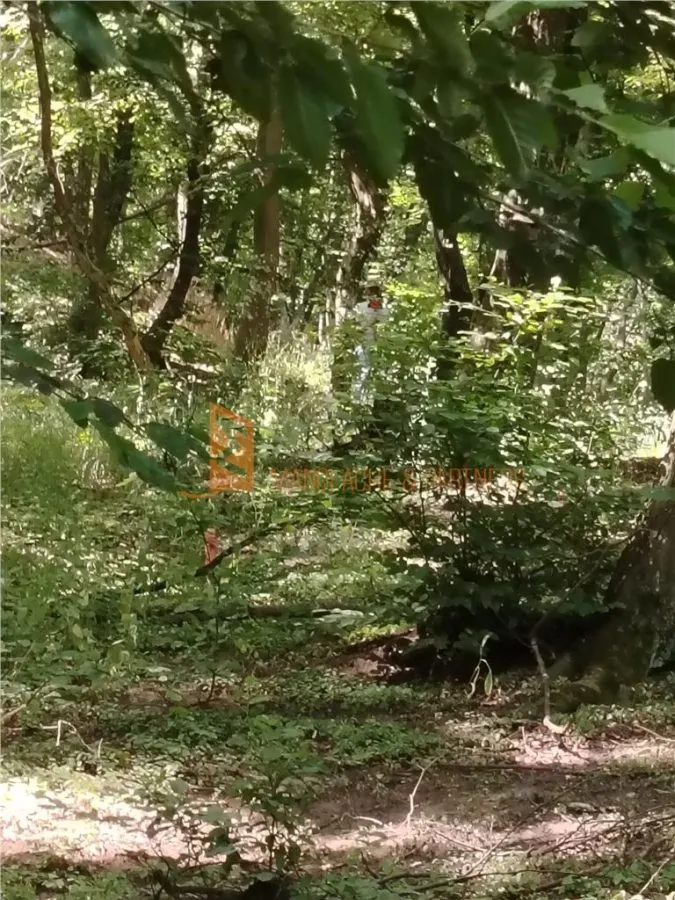 Teren intravilan zona Monteoru - foto 4