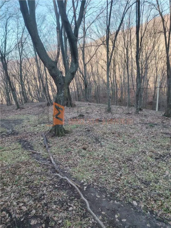 Teren intravilan zona Monteoru - foto 5