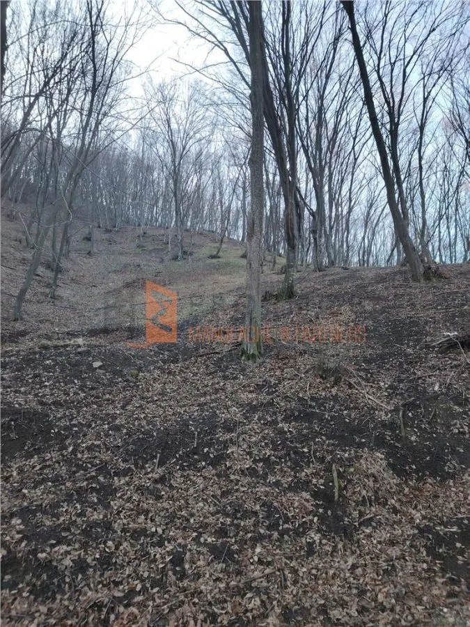 Teren intravilan zona Monteoru - foto 7