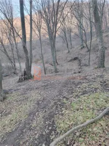 Teren intravilan zona Monteoru - foto 8