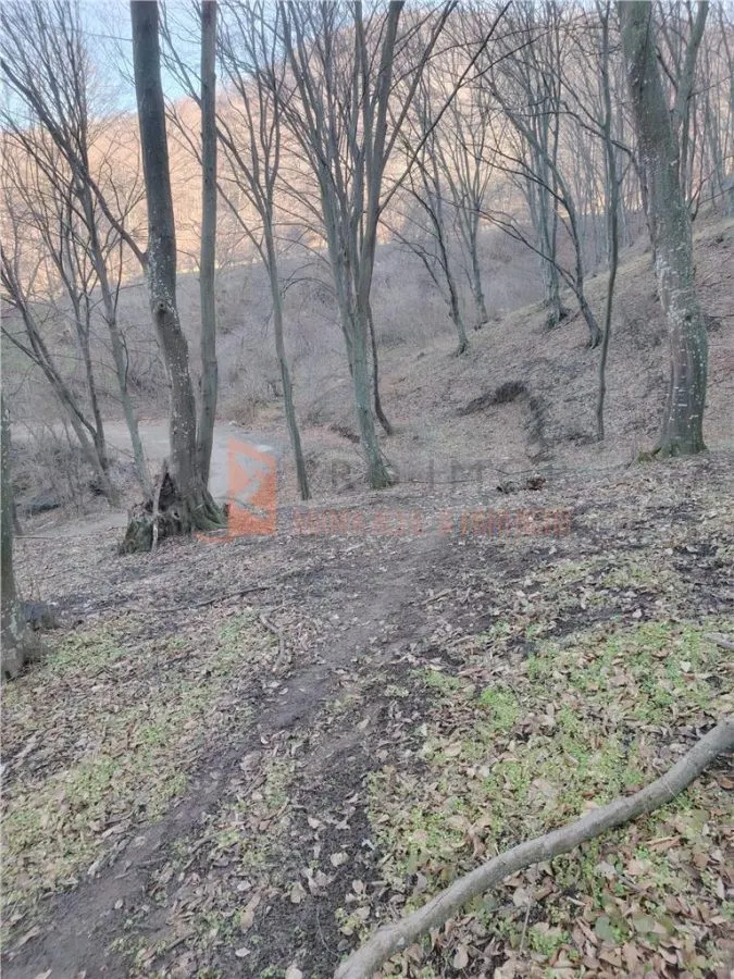 Teren intravilan zona Monteoru - foto 8