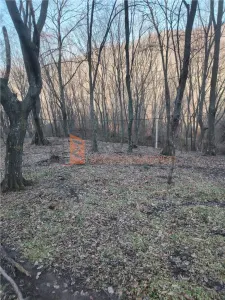 Teren intravilan zona Monteoru - foto 10