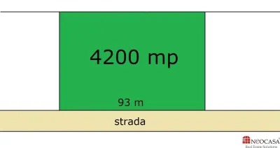 LAC+PADURE - 4200 MP, DESCHIDERE 92 M, PARCELABIL! - Corbeanca