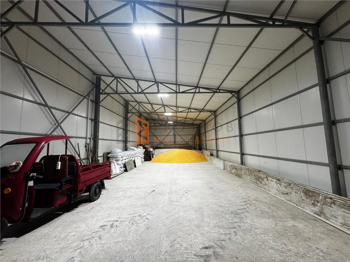 Hala Industriala zona Pietroasele - foto 4
