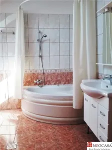 IANCU NICOLAE, S+P+1, 6 CAMERE, 410 MP, PISCINA, CURTE SUPERBA! - foto 16