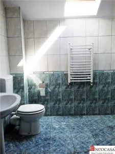 IANCU NICOLAE, S+P+1, 6 CAMERE, 410 MP, PISCINA, CURTE SUPERBA! - foto 18