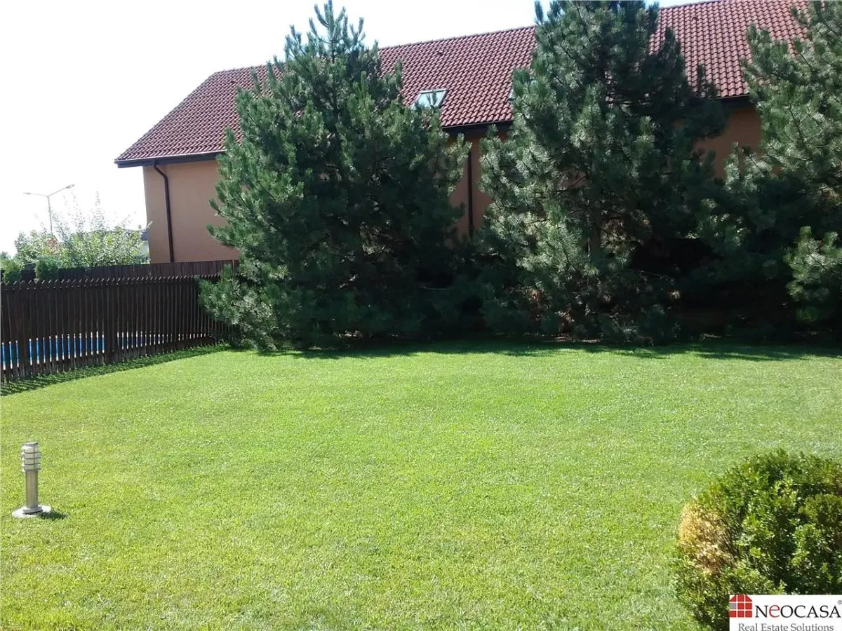 IANCU NICOLAE, S+P+1, 6 CAMERE, 410 MP, PISCINA, CURTE SUPERBA! - foto 20