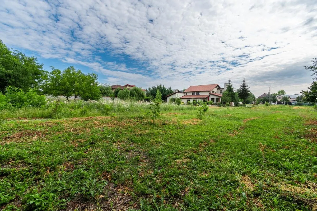 EXCLUSIV - Vila Individuala Otopeni | Teren 6350MP - foto 8