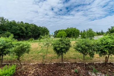 EXCLUSIV - Vila Individuala Otopeni | Teren 6350MP - foto 10