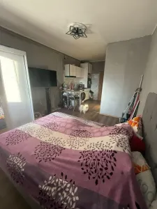 Garsoniera zona - foto 5