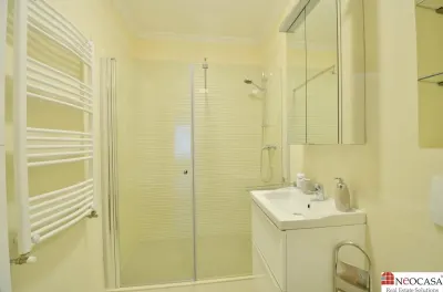APARTAMENT 4 CAMERE, MOBILAT, CU VEDERE CATRE LACUL TEI - foto 11
