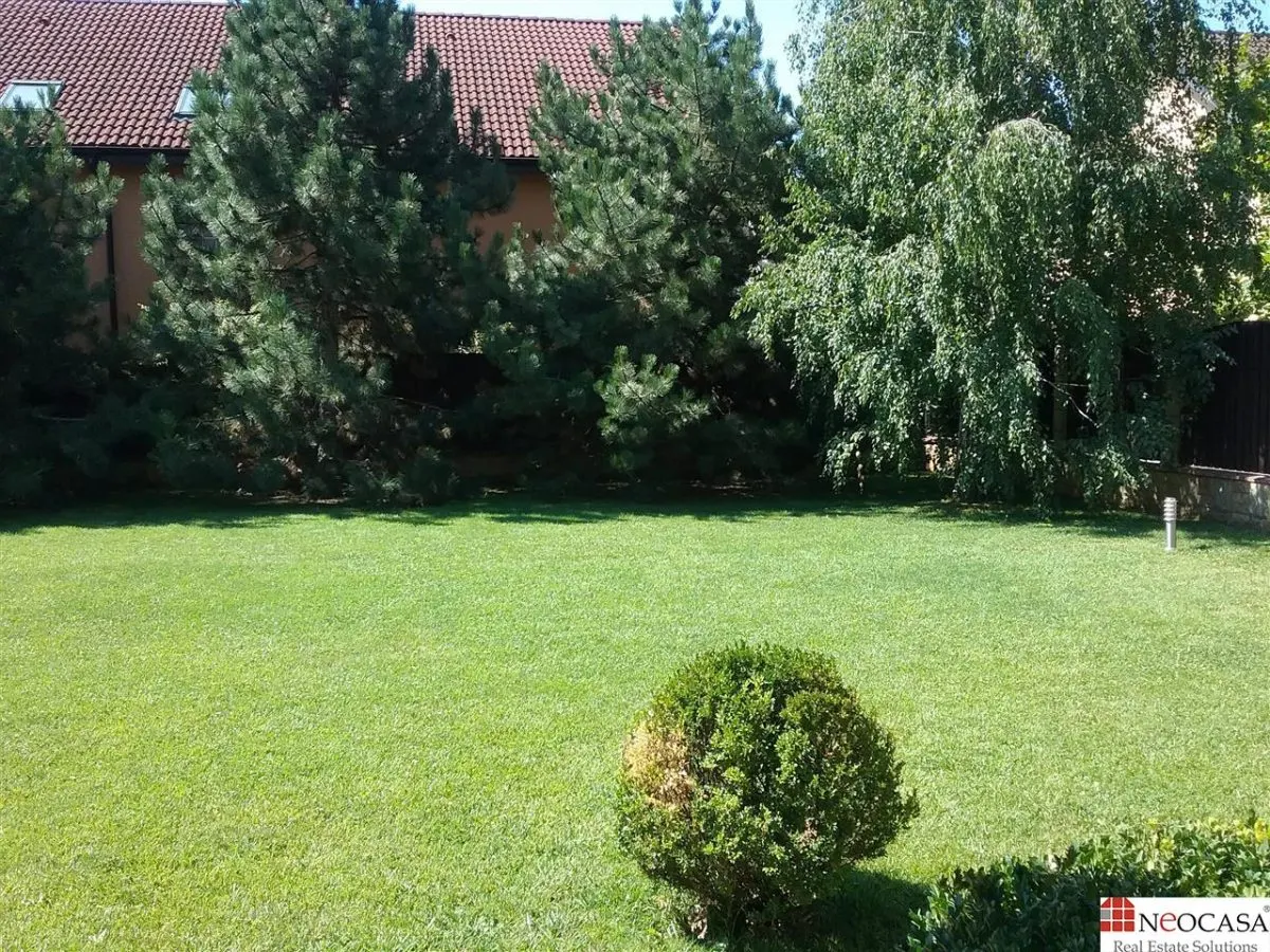 VILA EXTRAORDINARA, 6 CAMERE LUMINOASE, PISCINA, CURTE FOARTE FRUMOASA! - foto 14