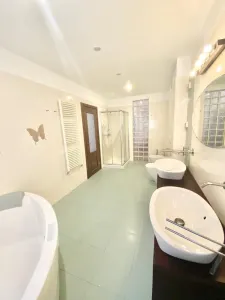 Exclusiv - Duplex 5 Camere/ 350MP + Curte 163  | Herastrau - Cartierul Francez - foto 13
