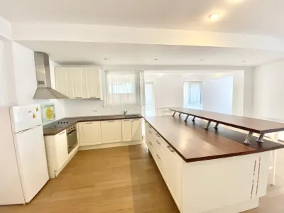 Exclusiv - Duplex 5 Camere/ 350MP + Curte 163  | Herastrau - Cartierul Francez - foto 4