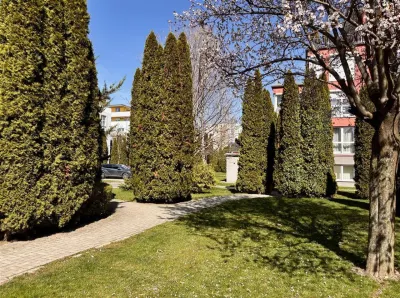 De vanzare | 3 camere decomandat, parcare si boxa - foto 2