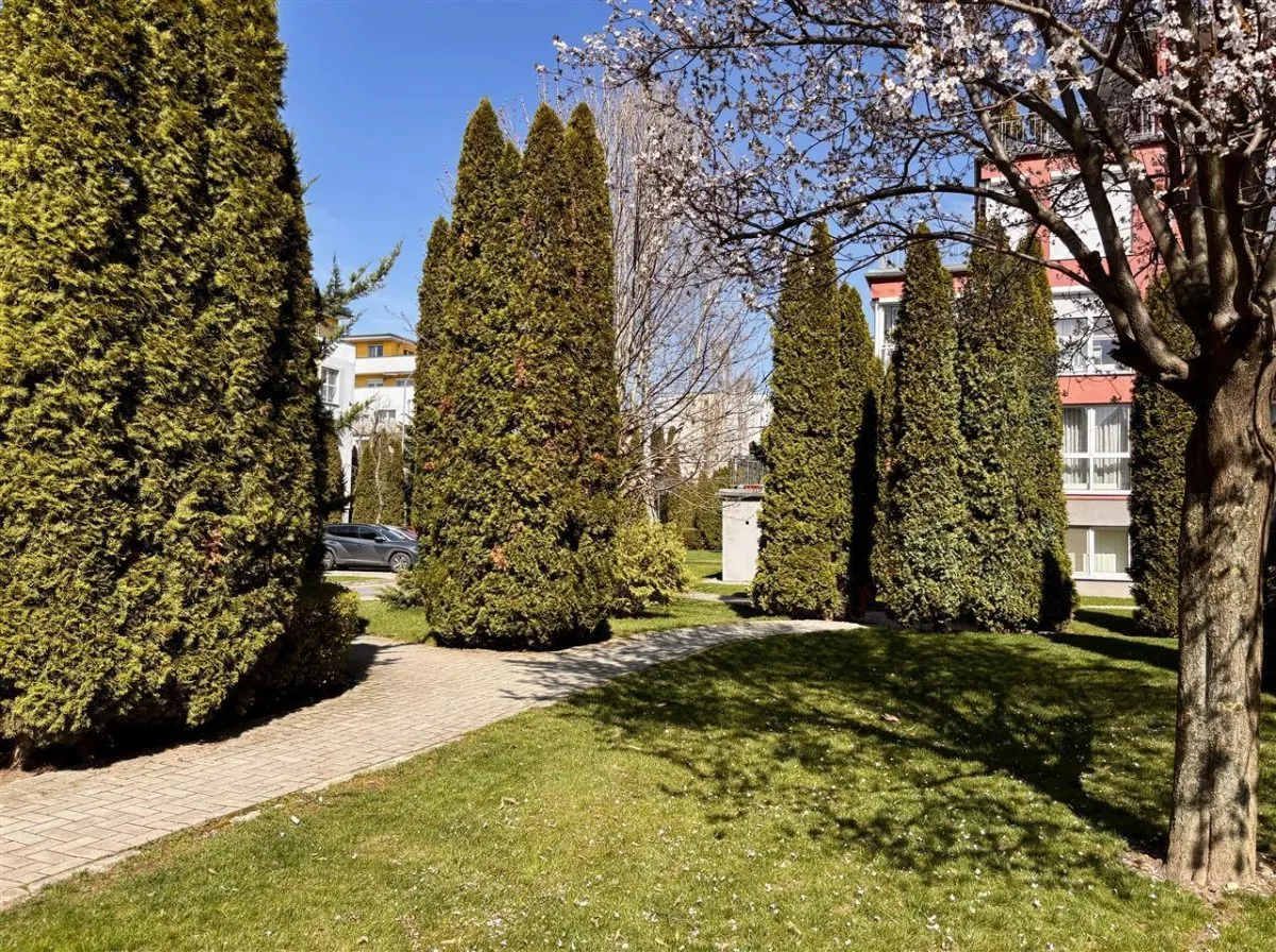 De vanzare | 3 camere decomandat, parcare si boxa - foto 2