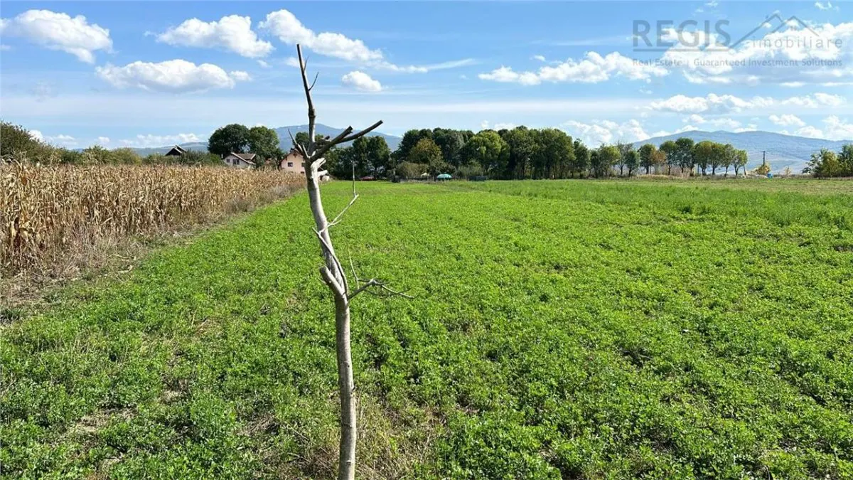 Stupini: Teren 3600mp, Front 16.5m la Asfalt, Utilitati - foto 5