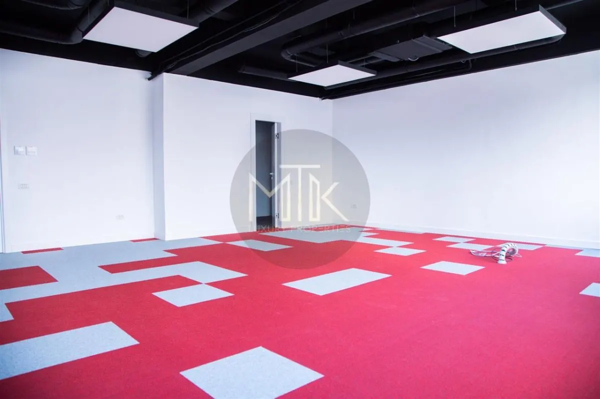 Exclusiv, Inchiriere Spatii Birouri Individuale, PREMIUM in Dorobanti - foto 16