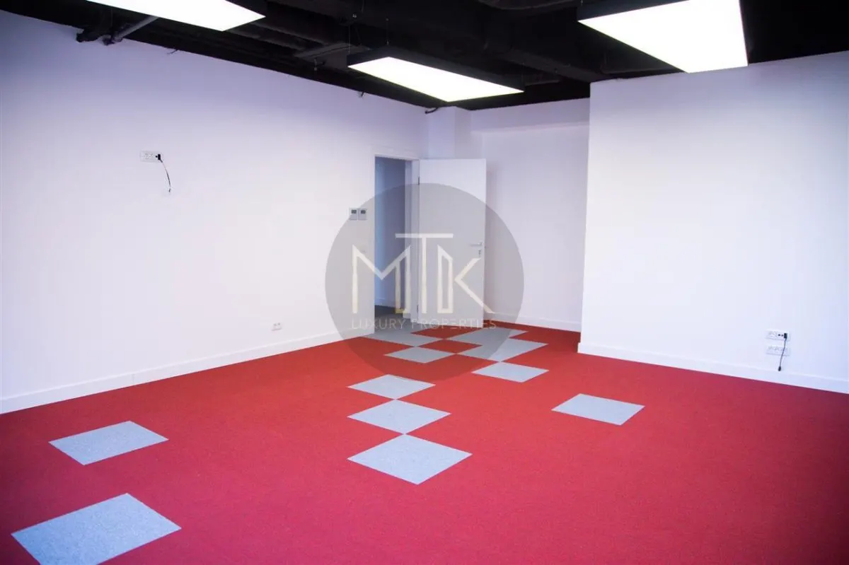 Exclusiv, Inchiriere Spatii Birouri Individuale, PREMIUM in Dorobanti - foto 18