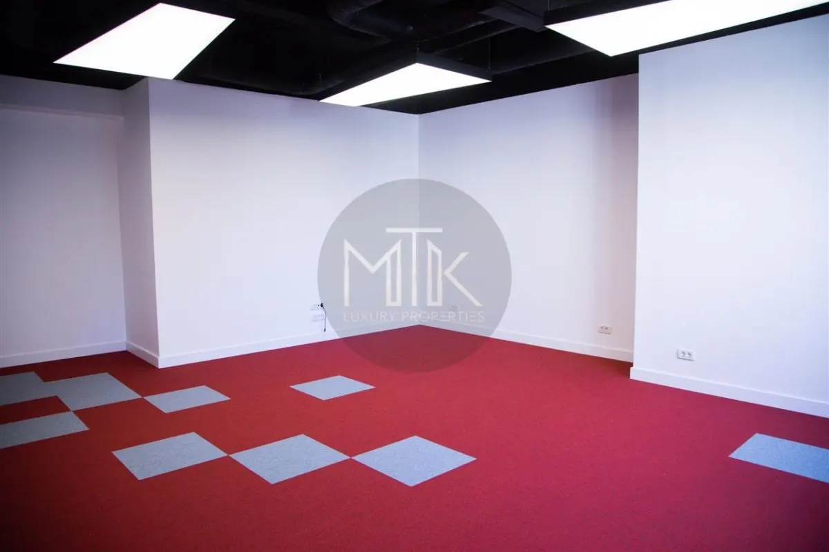 Exclusiv, Inchiriere Spatii Birouri Individuale, PREMIUM in Dorobanti - foto 19