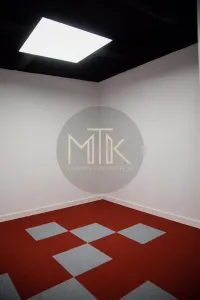 Exclusiv, Inchiriere Spatii Birouri Individuale, PREMIUM in Dorobanti - foto 20