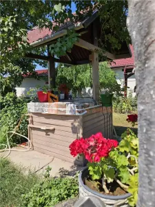 Casa tip parter + beci si teren in Candesti, Vernesti - foto 21