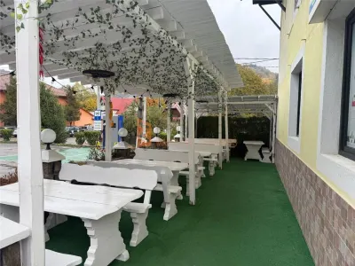 EXCLUSIVITATE! Pensiune  pretabil Spatiu comercial P+1+M  zona Siriu - foto 3