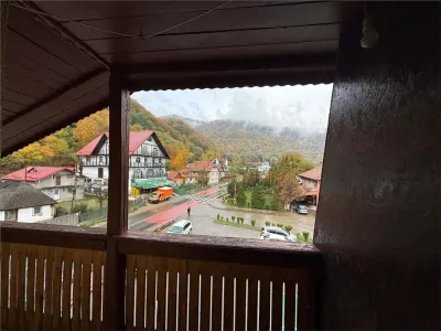 EXCLUSIVITATE! Pensiune  pretabil Spatiu comercial P+1+M  zona Siriu - foto 21