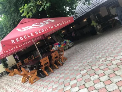Super Vila ,  perfecta  pentru o Pensiune/ Hotel cu Restaurant - foto 2