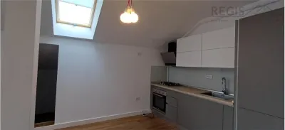 Penthouse 3 camere cu terasa mare si loc de parcare Florilor - foto 4