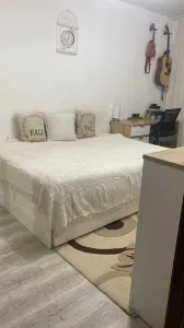 Apartament 2 Camere Bl. Garii - foto 6