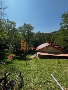 Ansamblu cabanute zona Cozieni - foto 22