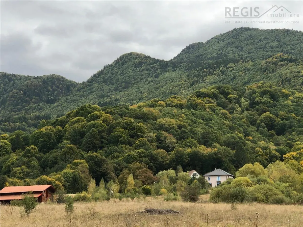 Vila premium cu lac privat si panorama catre Masivul Postavaru | Cheile Rasnoavei - foto 2