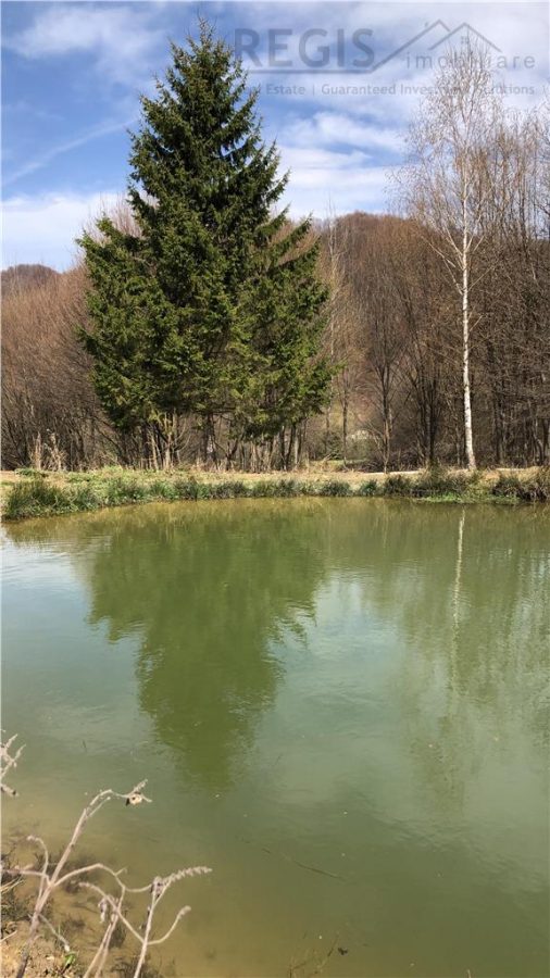Vila premium cu lac privat si panorama catre Masivul Postavaru | Cheile Rasnoavei - foto 11